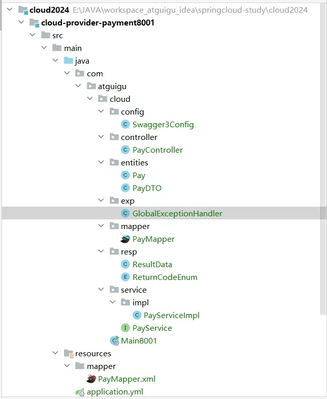 cloud-provider-payment8001-Structure