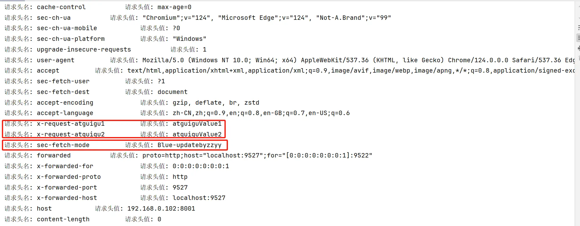 image-20240512235428349